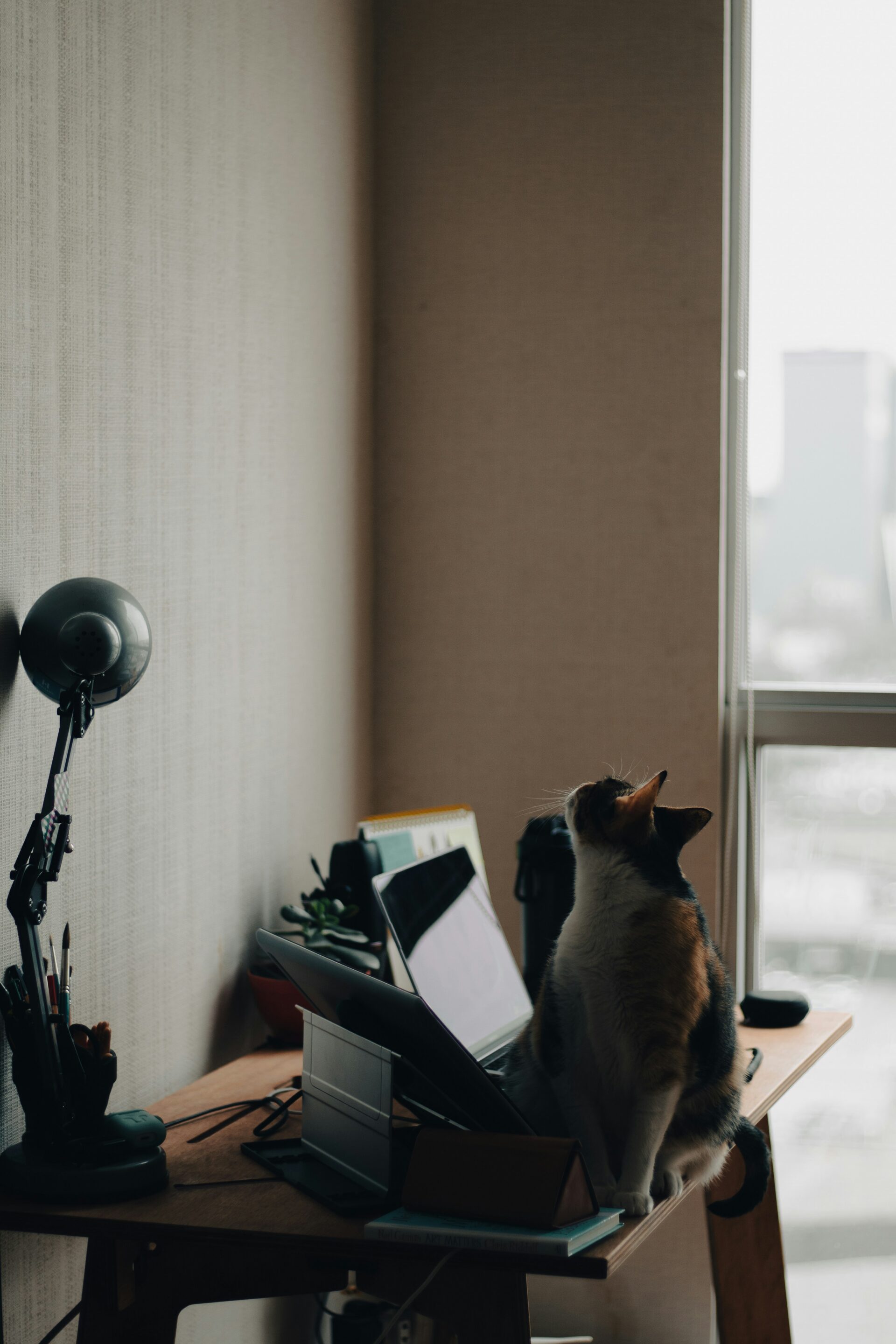 remote work security